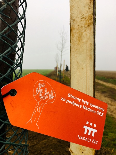 stromy
