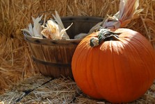 Nonstop stánek u Velké Bíteše. Teď zelenina, brzy halloweenské dýně
