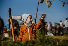 Ještě více zeleně ve Slavkově, Heralticích, Rajhradě a dalších městech díky grantu Stromy