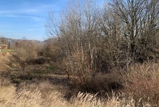 Studie ukáže, co s roklí ve Velkém Meziříčí